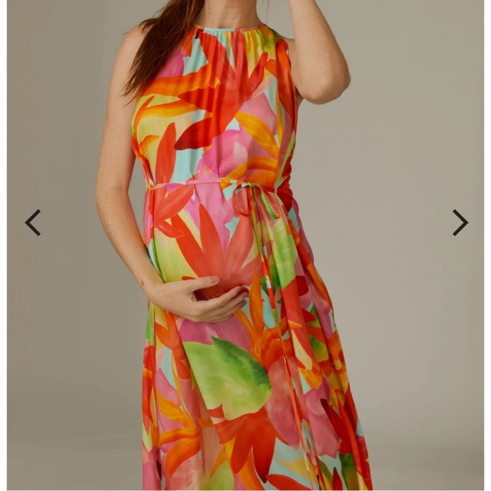 A Pea in a Pod - Pietro Brunelli Francesca Maternity Maxi Dress Caribbean Land